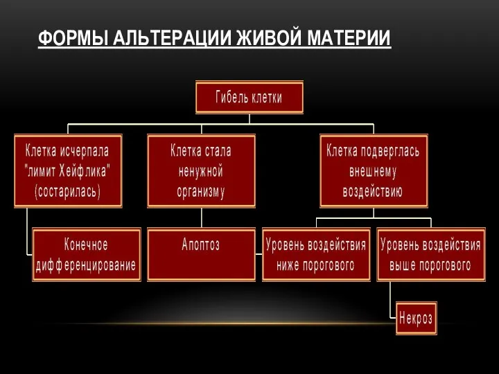 ФОРМЫ АЛЬТЕРАЦИИ ЖИВОЙ МАТЕРИИ