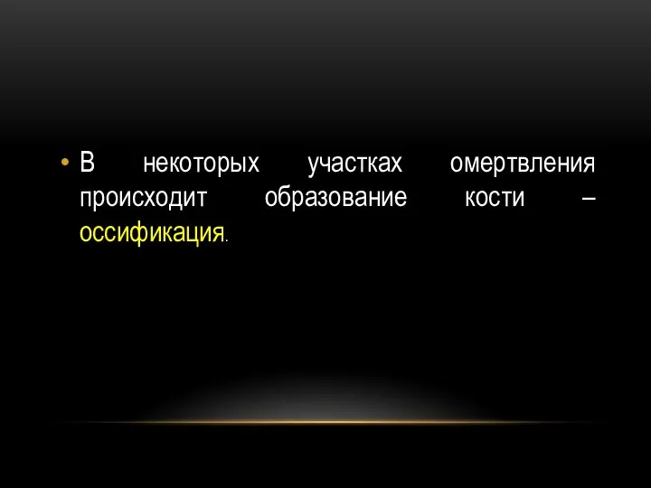 В некоторых участках омертвления происходит образование кости – оссификация.