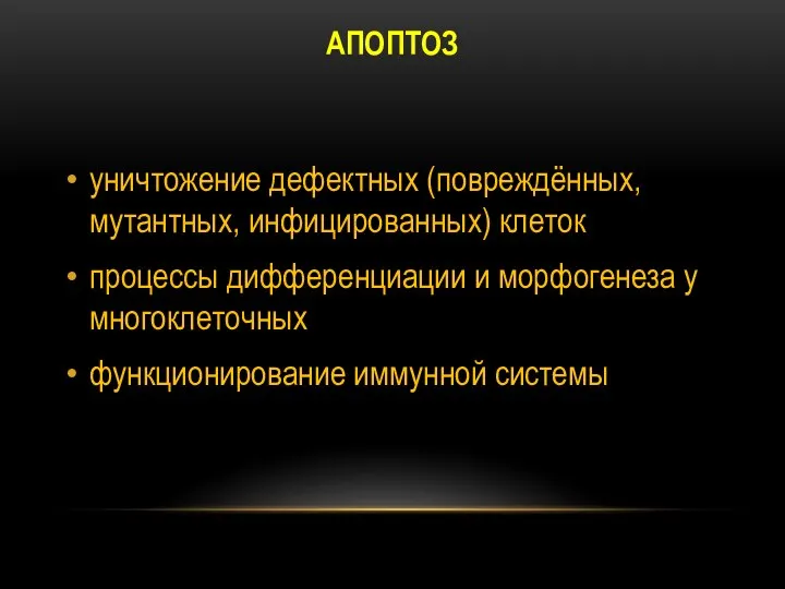 АПОПТОЗ уничтожение дефектных (повреждённых, мутантных, инфицированных) клеток процессы дифференциации и морфогенеза у многоклеточных функционирование иммунной системы