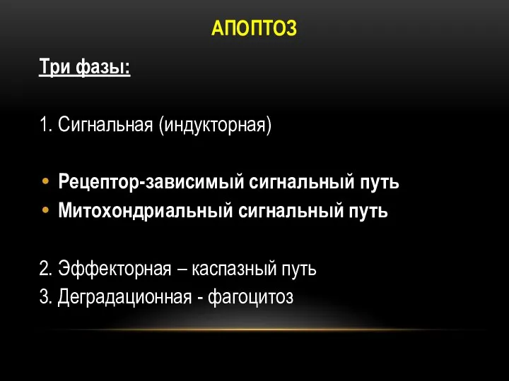 АПОПТОЗ Три фазы: 1. Сигнальная (индукторная) Рецептор-зависимый сигнальный путь Митохондриальный сигнальный