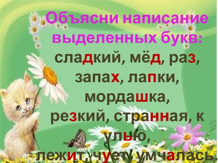 Объясни написание выделенных букв: сладкий, мёд, раз, запах, лапки, мордашка, резкий,