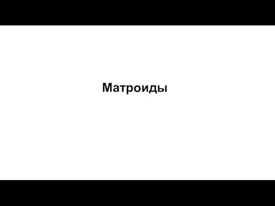 Матроиды