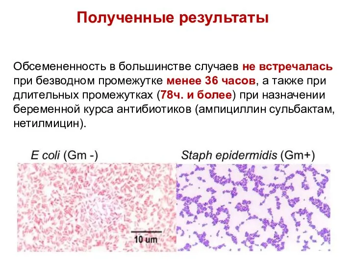 Полученные результаты Обсемененность в большинстве случаев не встречалась при безводном промежутке