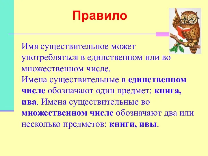 Имя существительное может употребляться в единственном или во множественном числе. Имена