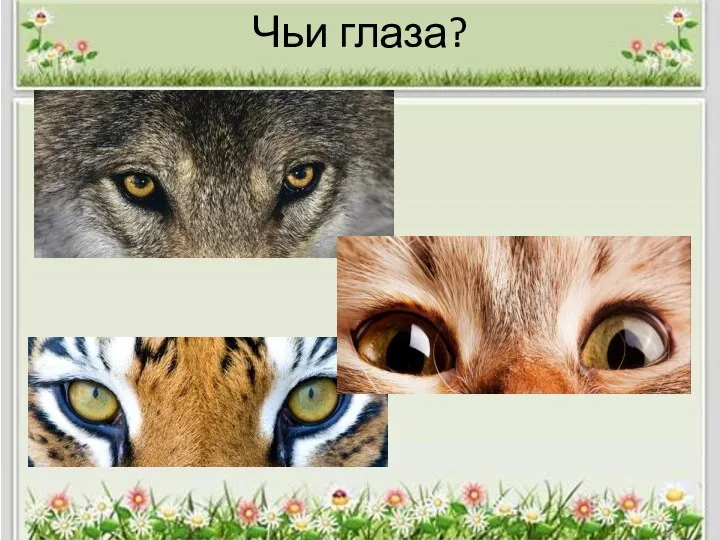 Чьи глаза?