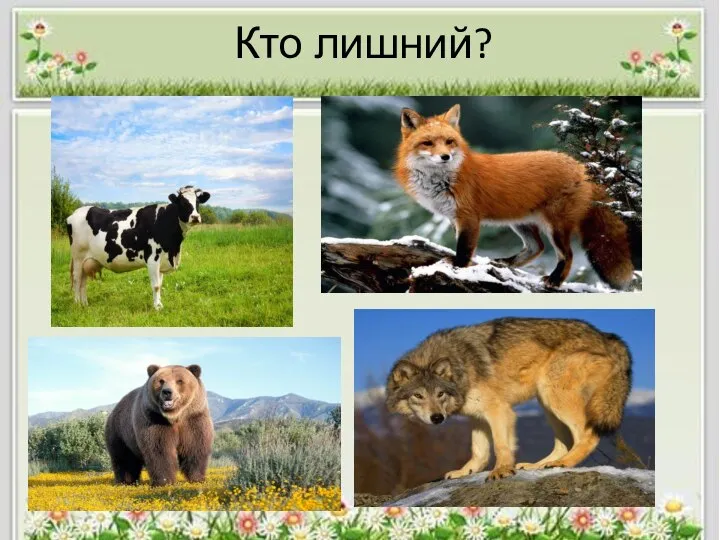 Кто лишний?