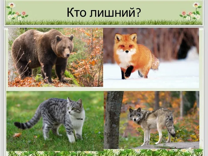 Кто лишний?