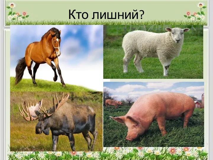 Кто лишний?