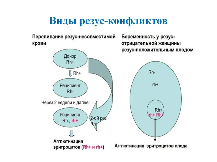 Виды резус-конфликтов