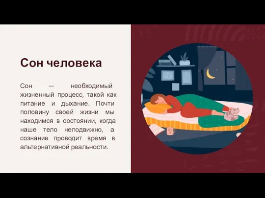 Сон человека Сон — необходимый жизненный процесс, такой как питание и