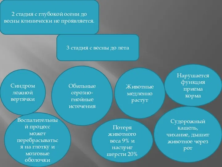 2 стадия с глубокой осени до весны клинически не проявляется. 3