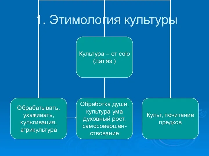 1. Этимология культуры