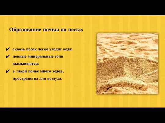 сквозь песок легко уходит вода; ценные минеральные соли вымываются; в такой