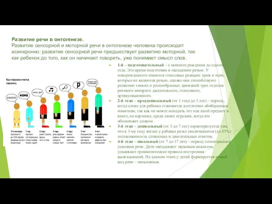 Развитие речи в онтогенезе. Развитие сенсорной и моторной речи в онтогенезе