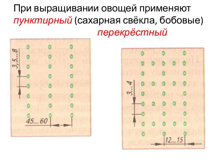 При выращивании овощей применяют пунктирный (сахарная свёкла, бобовые) перекрёстный (зерновые)