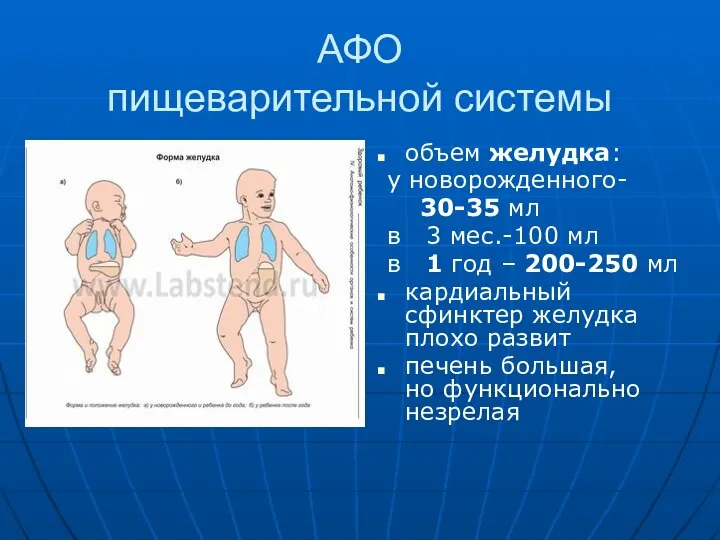 АФО пищеварительной системы объем желудка: у новорожденного- 30-35 мл в 3