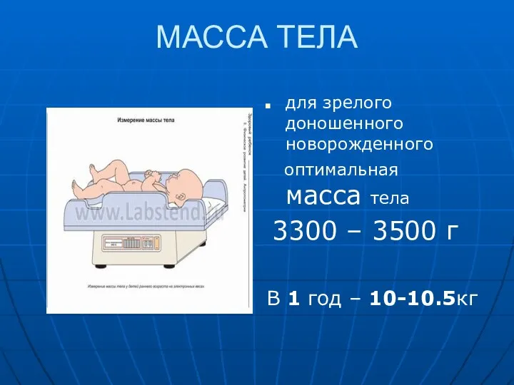 МАССА ТЕЛА для зрелого доношенного новорожденного оптимальная масса тела 3300 –