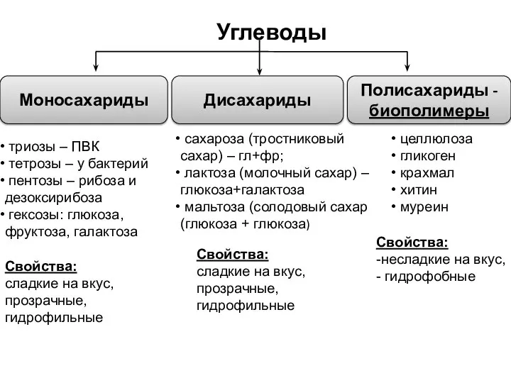 Углеводы триозы – ПВК тетрозы – у бактерий пентозы – рибоза