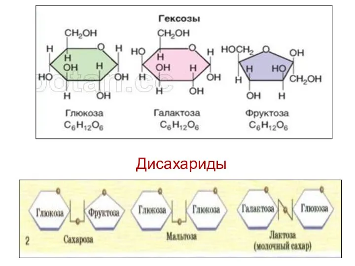 Дисахариды