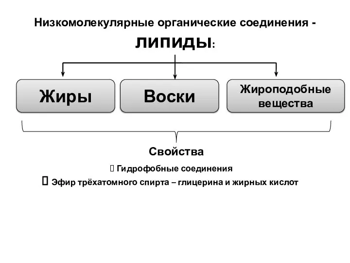 Низкомолекулярные органические соединения - липиды: Жиры Воски Жироподобные вещества Свойства Гидрофобные