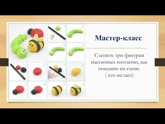 Мастер-класс Слепить три фигурки насекомых поэтапно, как показано на схеме. ( кто желает)