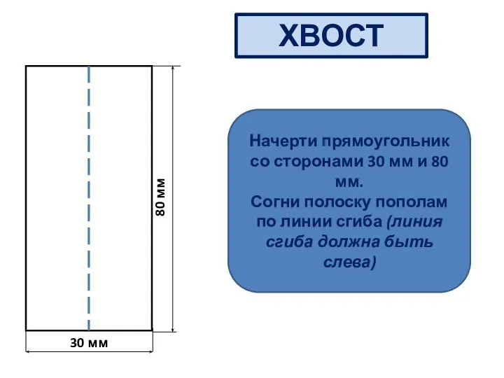 30 мм 80 мм ХВОСТ Начерти прямоугольник со сторонами 30 мм