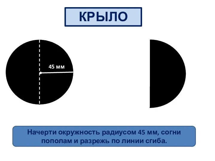 КРЫЛО 45 мм Начерти окружность радиусом 45 мм, согни пополам и разрежь по линии сгиба.