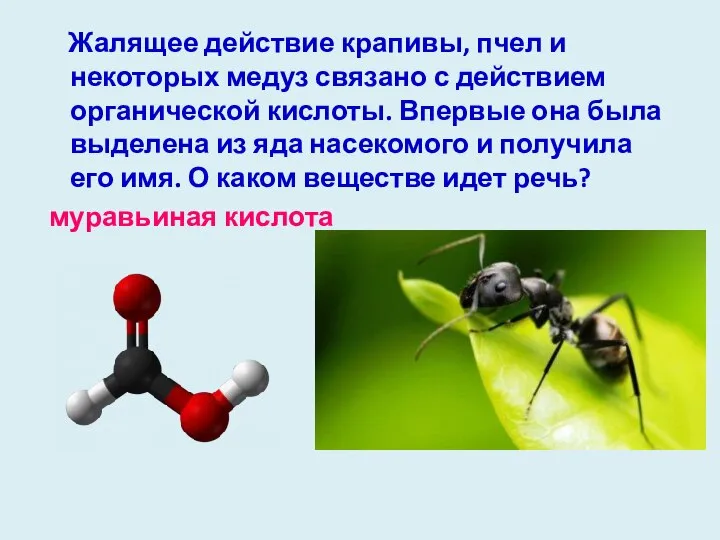 Жалящее действие крапивы, пчел и некоторых медуз связано с действием органической