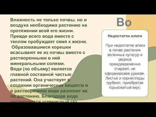 Вода Влажность не только почвы, но и воздуха необходима растению на