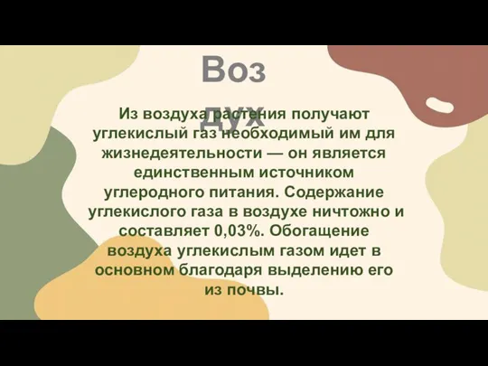 Воздух Из воздуха растения получают углекислый газ необходимый им для жизнедеятельности