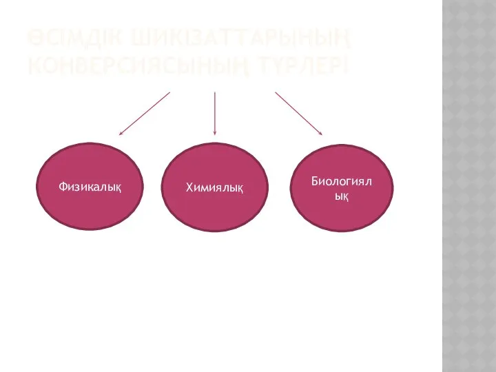 ӨСІМДІК ШИКІЗАТТАРЫНЫҢ КОНВЕРСИЯСЫНЫҢ ТҮРЛЕРІ Физикалық Химиялық Биологиялық