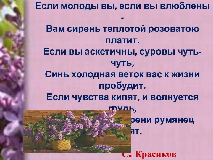 Почему живописцы сирени верны? Потому, что оттенков на каждого хватит. Если