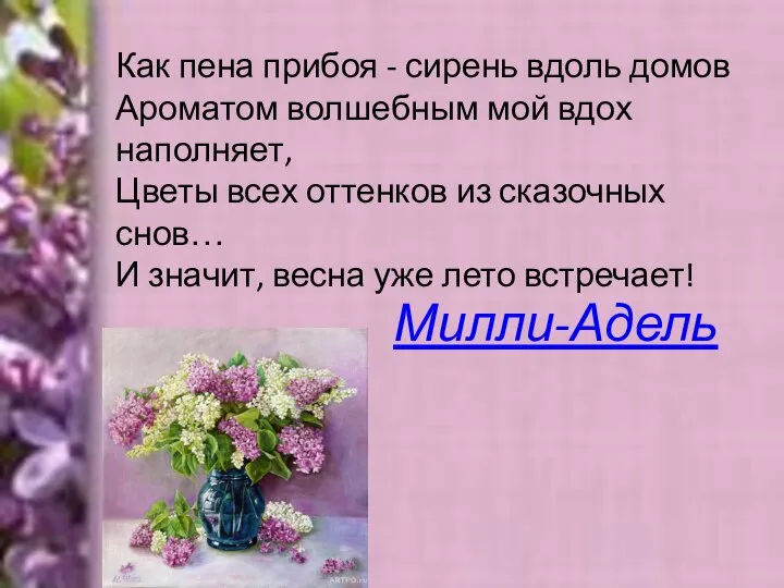 Как пена прибоя - сирень вдоль домов Ароматом волшебным мой вдох