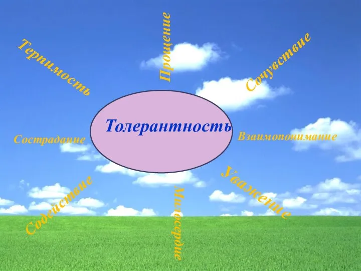 Толерантность Прощение Милосердие Сострадание Терпимость Сочувствие Уважение Содействие Взаимопонимание