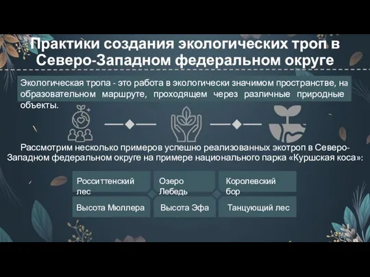 Практики создания экологических троп в Северо-Западном федеральном округе Рассмотрим несколько примеров