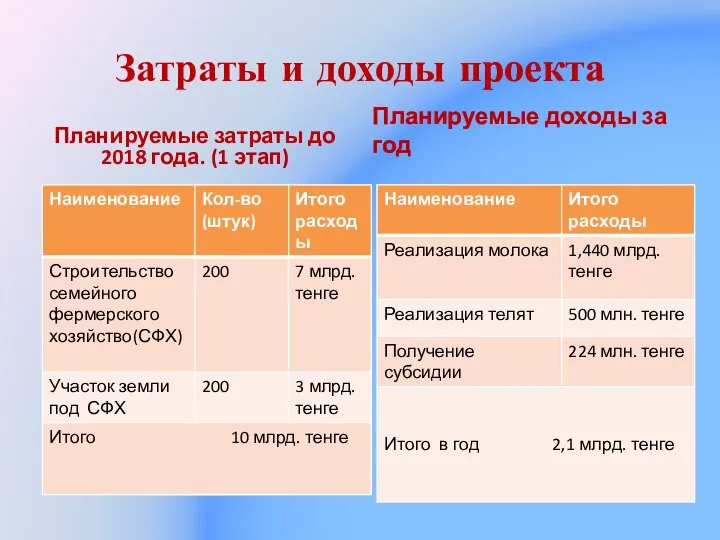 Затраты и доходы проекта Планируемые затраты до 2018 года. (1 этап) Планируемые доходы за год