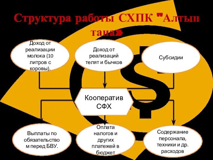 Структура работы СХПК "Алтын тана» Кооператив СФХ Доход от реализации молока