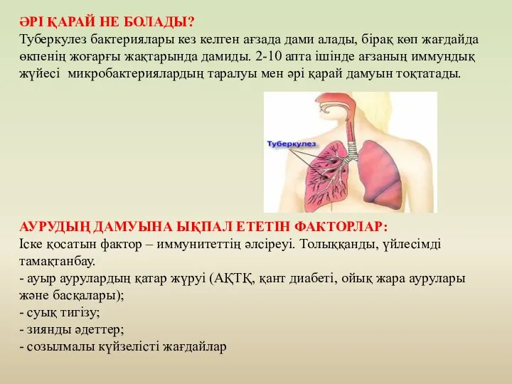 ӘРІ ҚАРАЙ НЕ БОЛАДЫ? Туберкулез бактериялары кез келген ағзада дами алады,