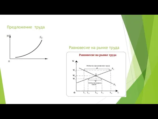 Предложение труда Равновесие на рынке труда