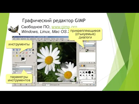 Графический редактор GIMP Свободное ПО, www.gimp.org Windows, Linux, Mac OS X