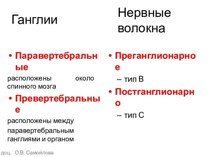 Паравертебральные расположены около спинного мозга Превертебральные расположены между паравертебральным ганглиями и