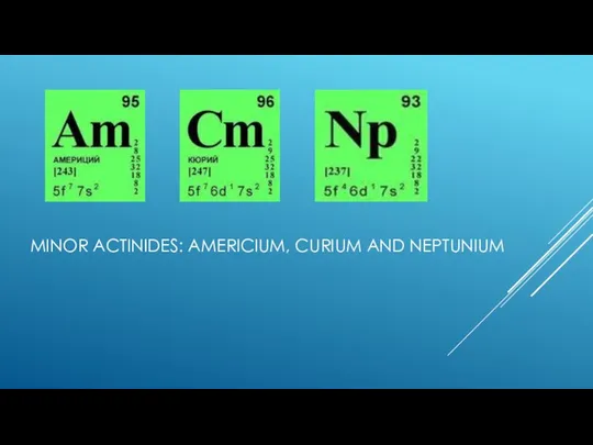 MINOR ACTINIDES: AMERICIUM, CURIUM AND NEPTUNIUM