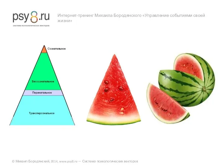 Интернет-тренинг Михаила Бородянского «Управление событиями своей жизни» © Михаил Бородянский, 2014, www.psy8.ru — Система психологических векторов