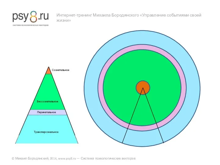 Интернет-тренинг Михаила Бородянского «Управление событиями своей жизни» © Михаил Бородянский, 2014, www.psy8.ru — Система психологических векторов