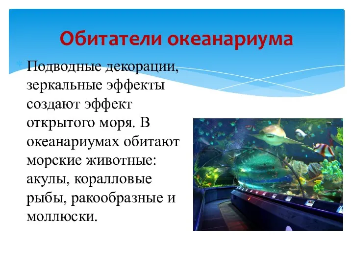 Обитатели океанариума Подводные декорации, зеркальные эффекты создают эффект открытого моря. В