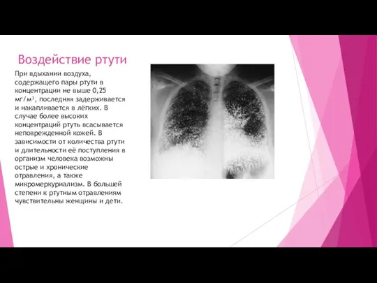 Воздействие ртути При вдыхании воздуха, содержащего пары ртути в концентрации не