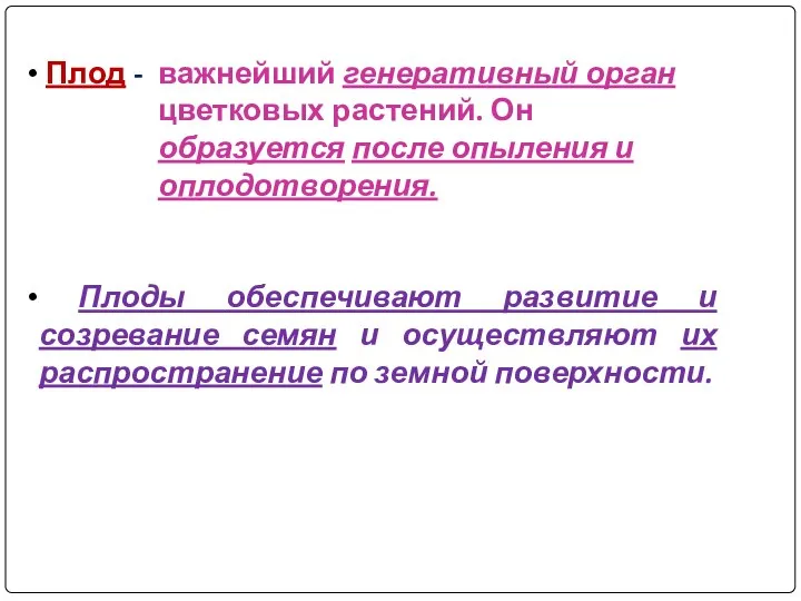 Плод - Плоды обеспечивают развитие и созревание семян и осуществляют их