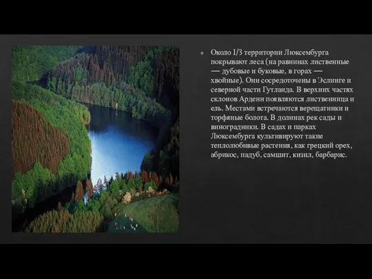 Около 1/3 территории Люксембурга покрывают леса (на равнинах лиственные — дубовые
