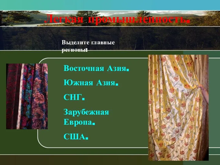 Легкая промышленность. Выделите главные регионы: Восточная Азия. Южная Азия. СНГ. Зарубежная Европа. США.