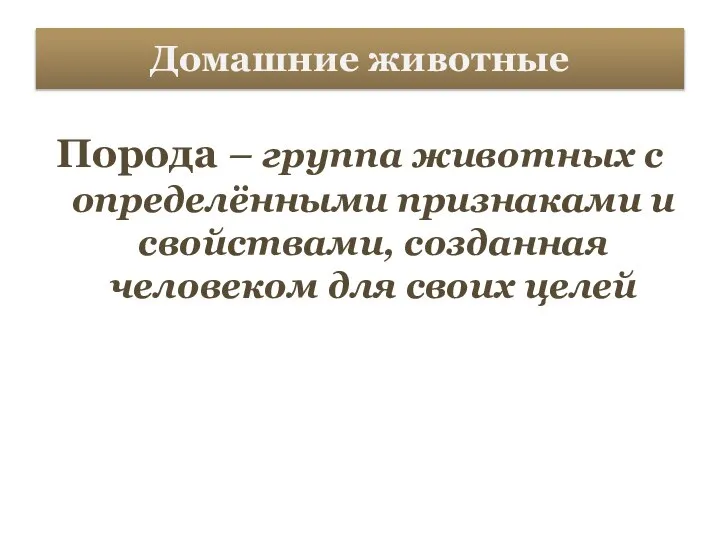 Домашние животные Порода – группа животных с определёнными признаками и свойствами, созданная человеком для своих целей